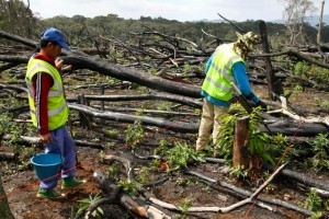 Our de-miners had already worked for 28 days without a break but they volunteered to give up their first vacation day in a month. Our goal is to clear all UXO from the garden where a young girl was killed.